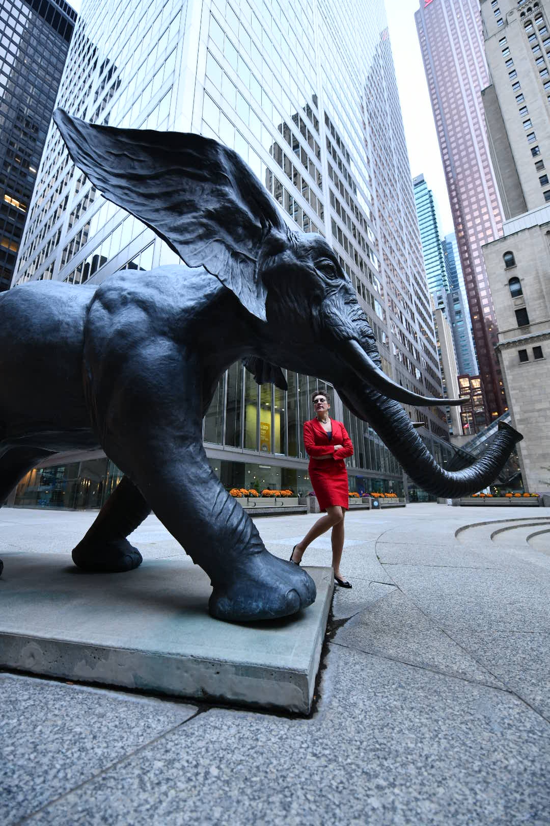 The Universal Appeal - Corporate