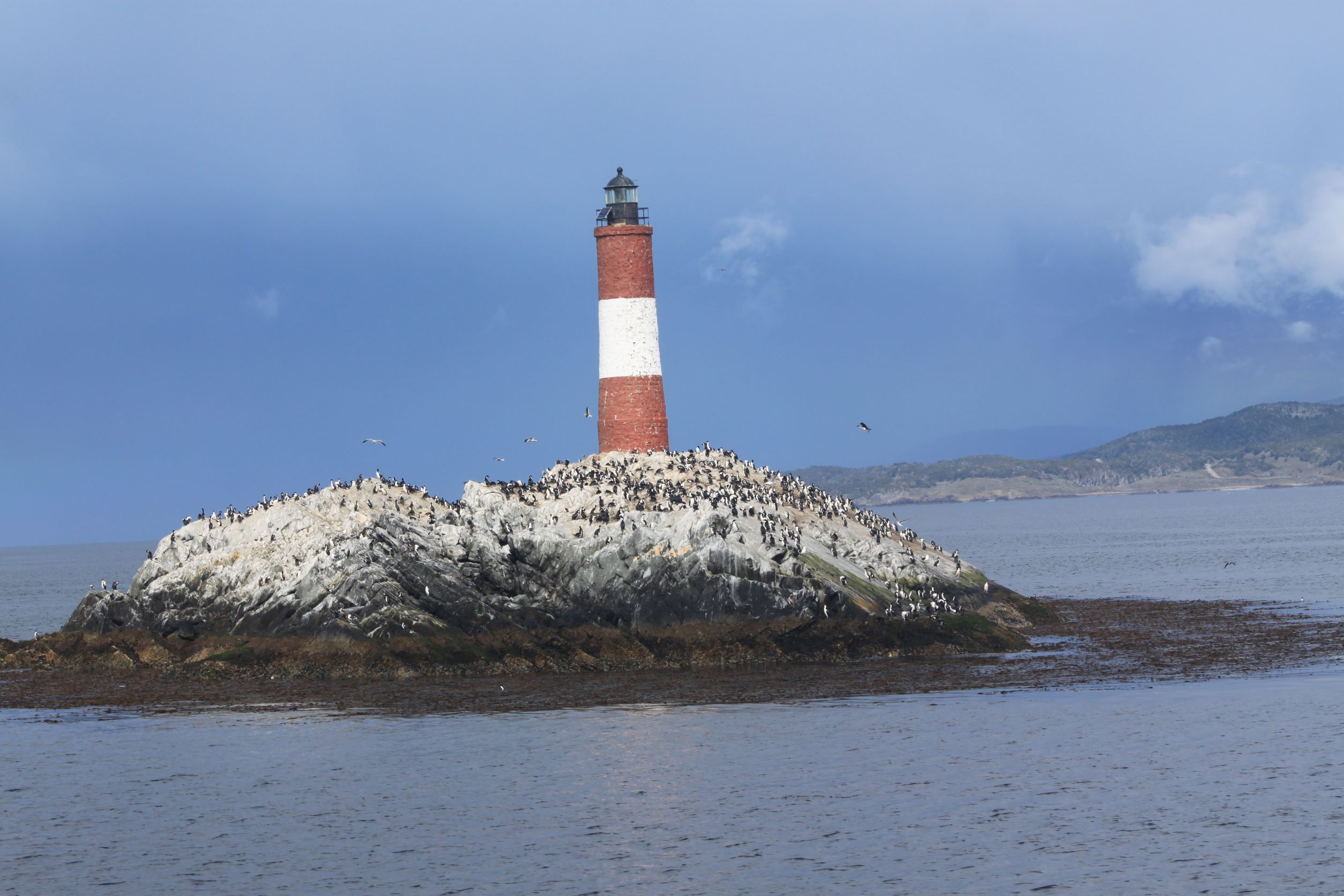 Northern Coast Photography - Lonely Light House